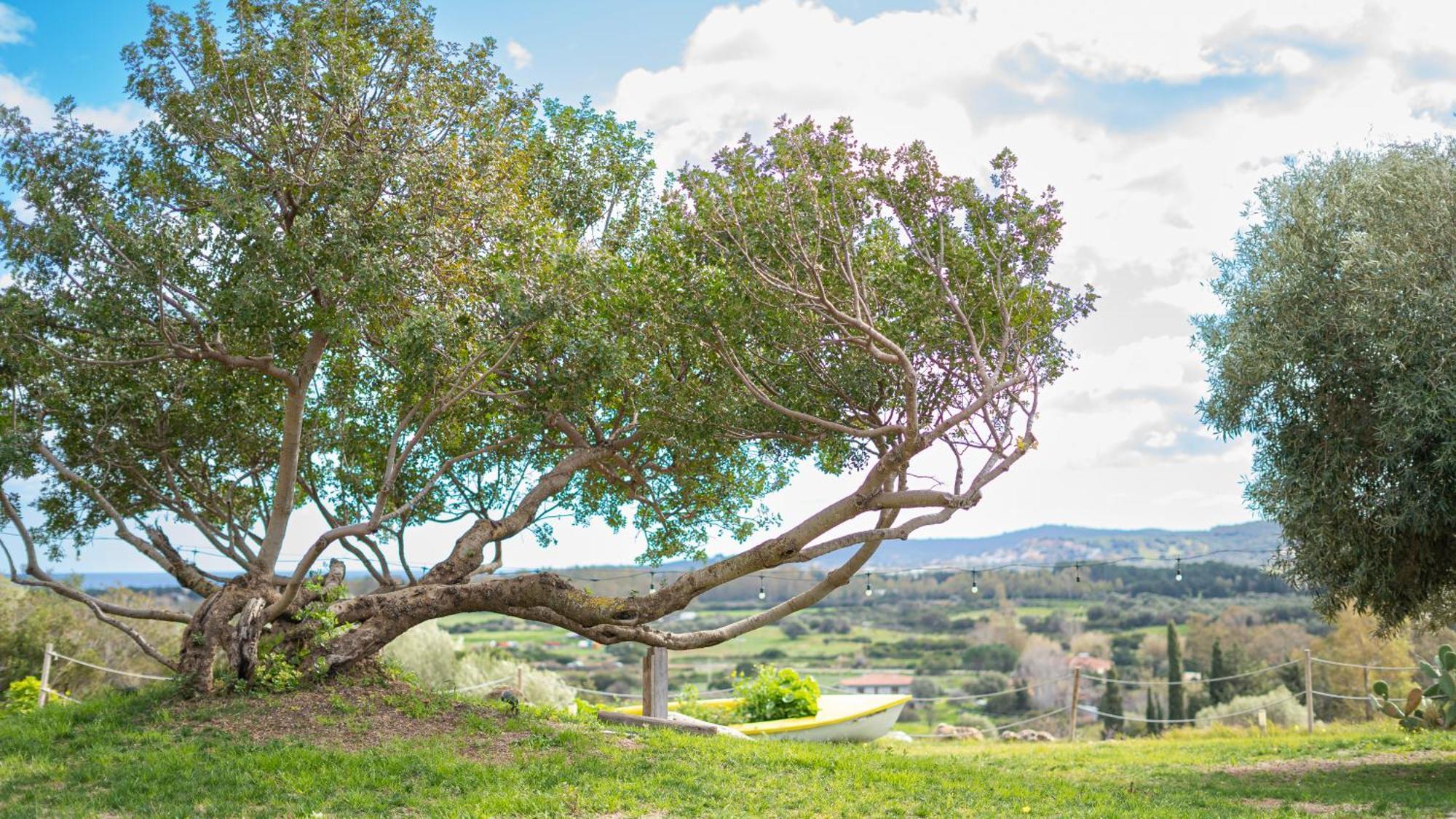 Albergo rurale Essenza di Mirto La Caletta Esterno foto